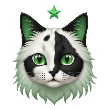 black and white long hair cat. green eyes. black nose. black splotch in the shape of a star near nose (on the right side). white chest. sticker