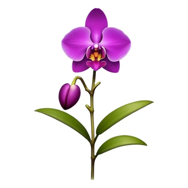 single purple Dendrobium Orchid flower, stem sticker