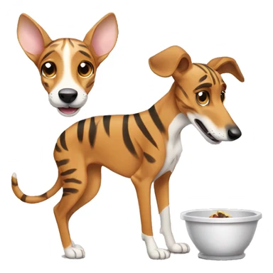 Fawn tiger greyhound eating sticker