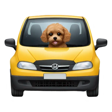 cavoodle driving black honda jazz sticker