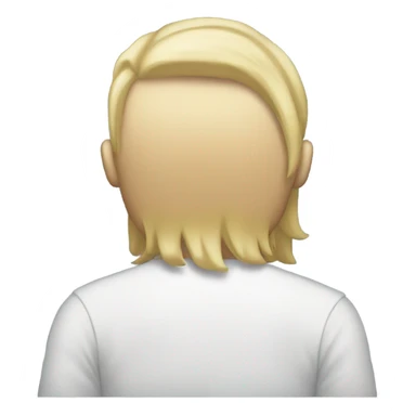 male mid long normal blonde hair rear sticker