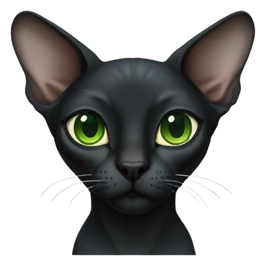 black sphinx cat with green eyes and a white spot on the mouth  sticker