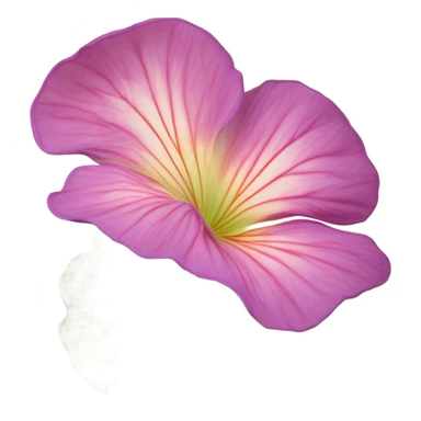 Aesthetic display of blush violet nasturtiums, an elegant deep pink perfume bottle, and a vintage love violet letter written in flowing script. sticker