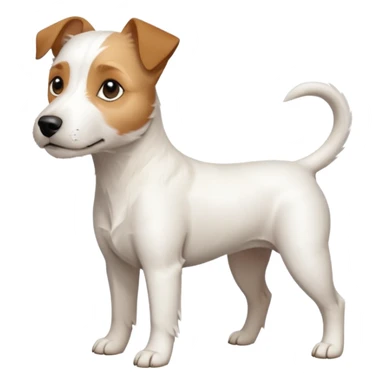 a full body white parson russell looking dog the size of a kelpie with light brown ears and a light brown patch on one eye and a large snout sticker