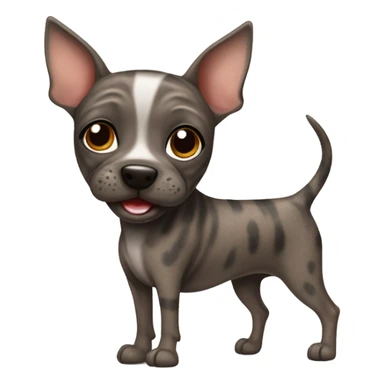 Brindle American hairless terrier smiling sticker