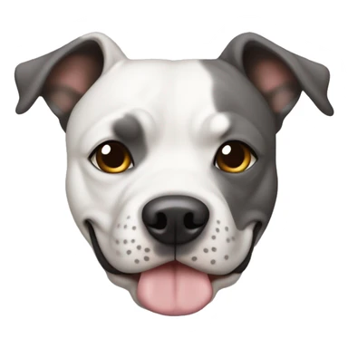 Staffie chien une oreille blanche et l’autre gris  sticker