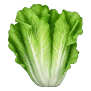 roman lettuce sticker
