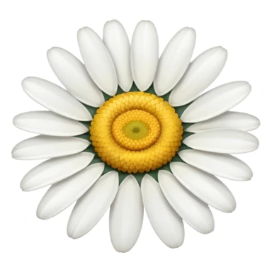 Daisy flower sticker