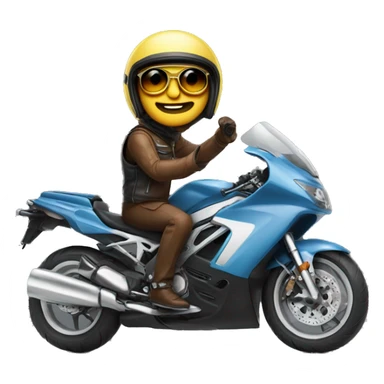 A trttle on a motorbike with a jet helmet nd glases sticker