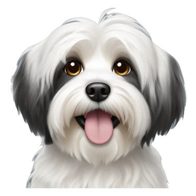 Black and white Havanese dog sticker
