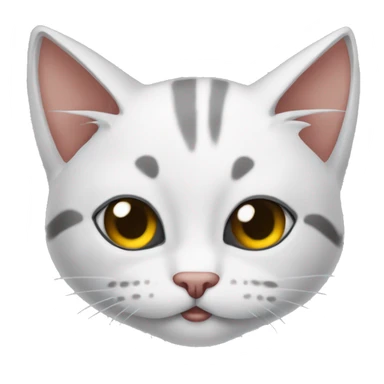 çorap giymiş yavru kedi sticker