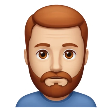 semi balding man with beard. brown eyes and brown/red beard sticker