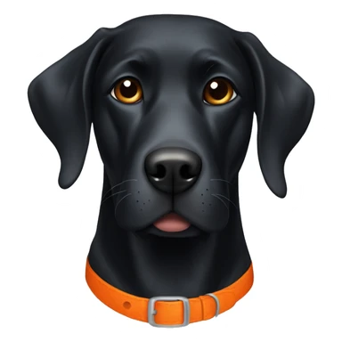 Black lab with orange collar sticker