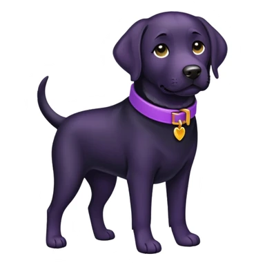 Black lab wearing purple collar sticker