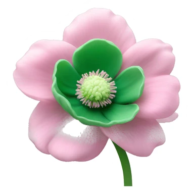 light pink anemone flower with green center sticker