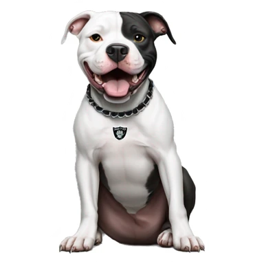 Pit bull wearing Oakland Raiders  sticker