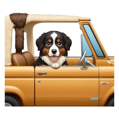Bernese mountain dog in a cream colored ford bronco with no roof sticker