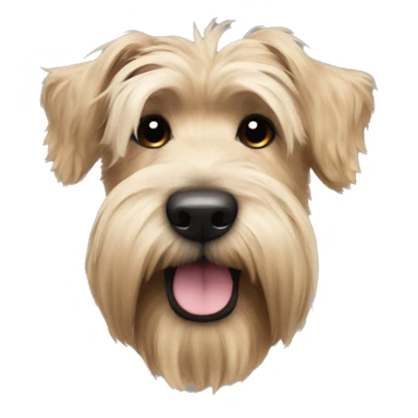Wheaten terrier with long fluffy hair, dark ears and black chin sticker