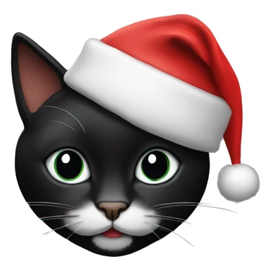 black cat with black santa hat sticker