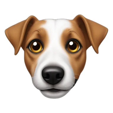 2 jack Russell's sticker