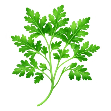 Cinematic Realistic Parsley Emoji, Fresh and vibrant, with bright green, frilly leaves that seem to shimmer with vitality. The plant exudes a sense of healthy growth and aromatic zest, inviting both beauty and flavor into any dish. Soft glowing outline, capturing the essence of freshness, health, and culinary delight in a sprig of parsley! sticker
