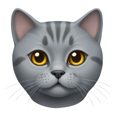 Gray British shorthair cat  sticker