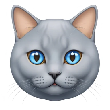 Blue golden british shorthair cat with blue eyes sticker