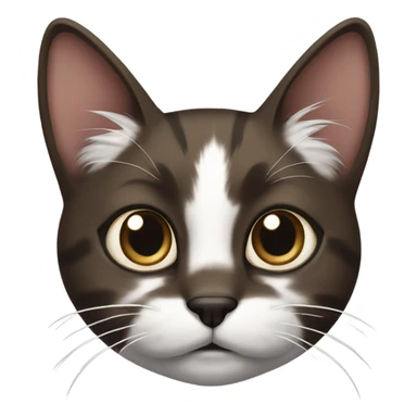 dark brown and white Cat with black spot near the nose sticker