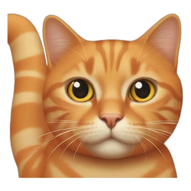 Orange cat with a Cylinder sticker