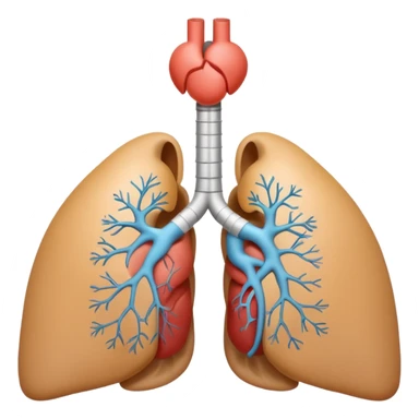 A 3D cartoon medical diagram showing lungs and airways inside a human silhouette, realistic Memoji-style. sticker