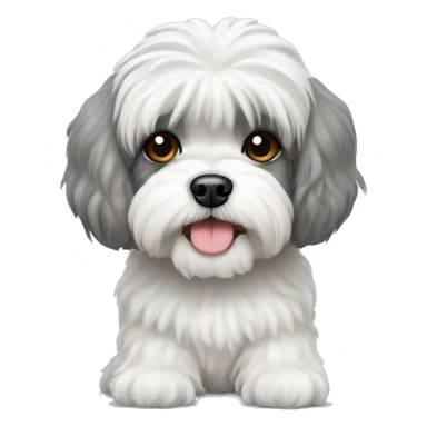 A grey and white shih tzu poodle mix  sticker