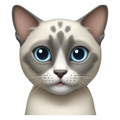 Thai breed cat with a light cream body, dark gray face, ears, and paws. Short fur, sharp ears, striking light blue eyes  sticker