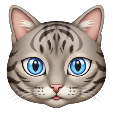 Un gato atigrado gris ojos azules ralla entre los ojos en forma de M y dos rallas en el exterior de los ojos sticker