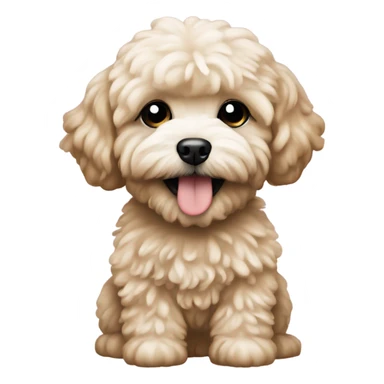 Create an emoji featuring a Maltipoo puppy. sticker