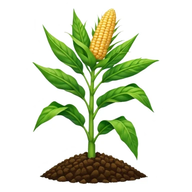 Cây bắp mọc trên đất sticker