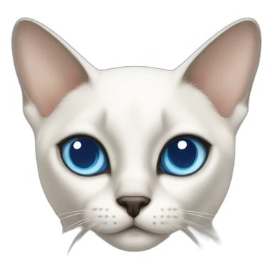 white siamese cat with slanting blue eyes sticker