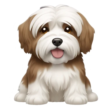 Brown and white fat Havanese dog sticker