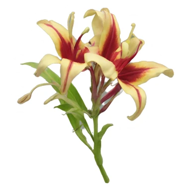 Gloriosa sticker
