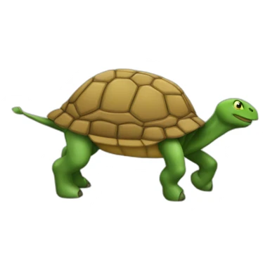 Cheval sur tortue sticker