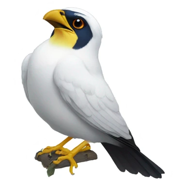 Bali myna sticker