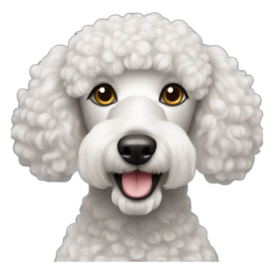 Yemeni poodle sticker