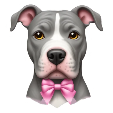 Gray Pitbull with a white stripe on his head and a pink bow  sticker