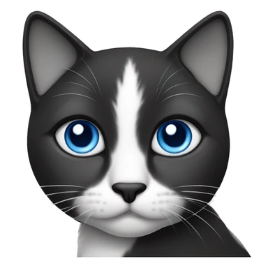 cat black and white blue eyes sticker