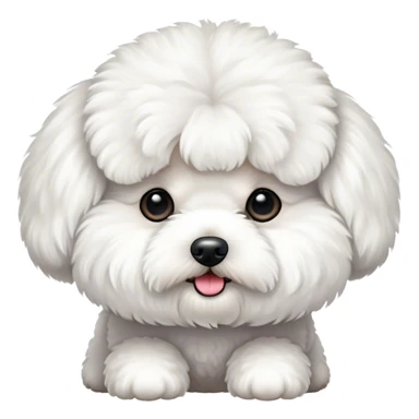 Bichon frise sticker