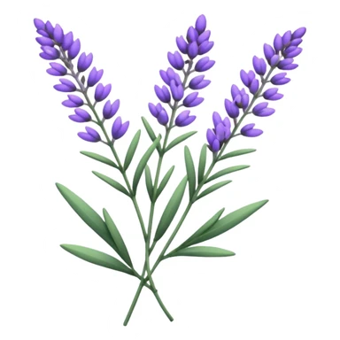 Lavender  sticker