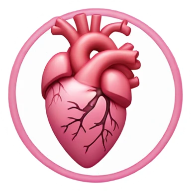 Pink anatomical heart sticker