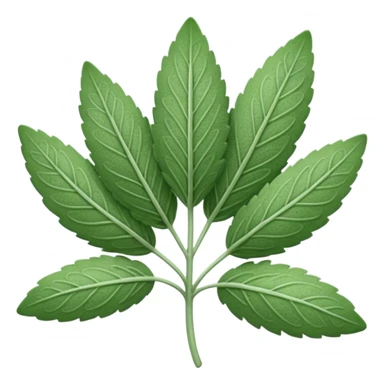 Sage leaf sticker