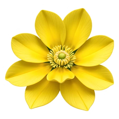 Yellow woodland anemone sticker