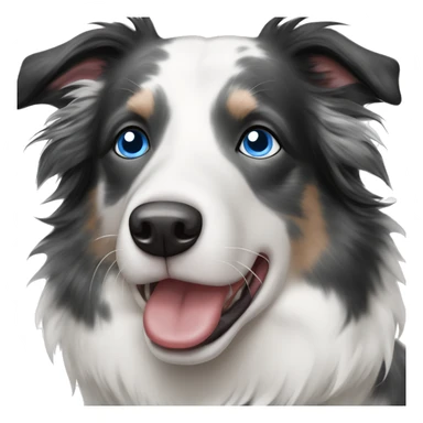 Blue eyes Seal merle Border collie sticker