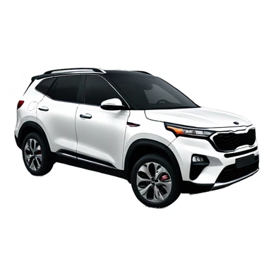 2019 white Kia seltos  sticker